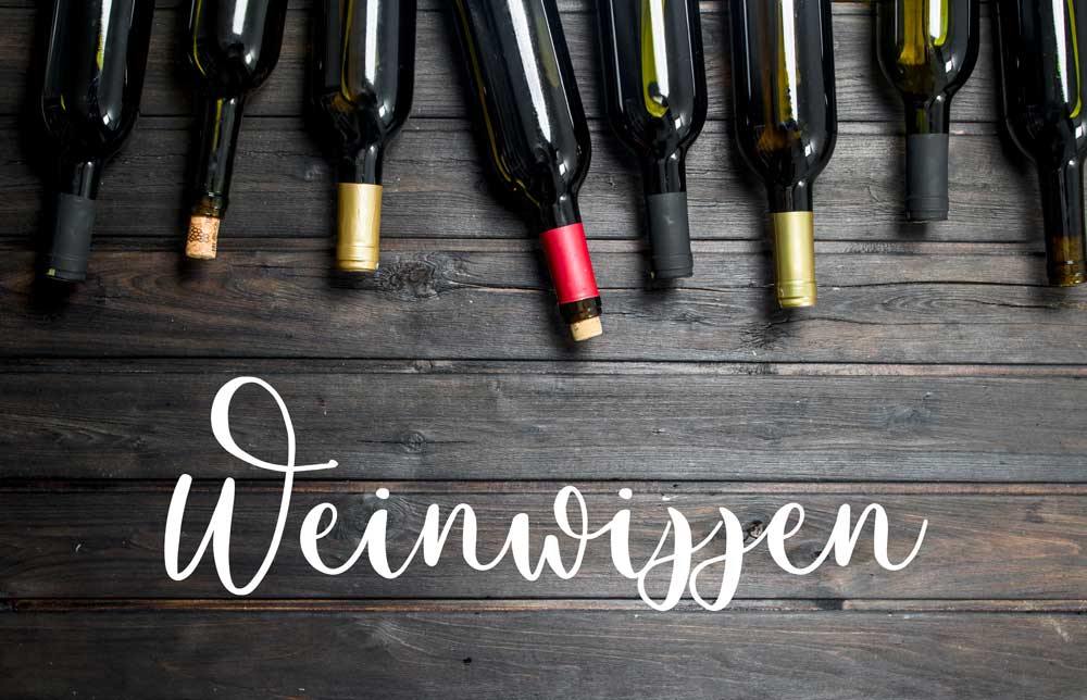 Weinwissen für Einsteiger